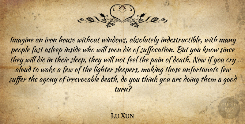 Lu Xun Quote About Pain, Sleep, Thinking: Imagine An Iron House Without...