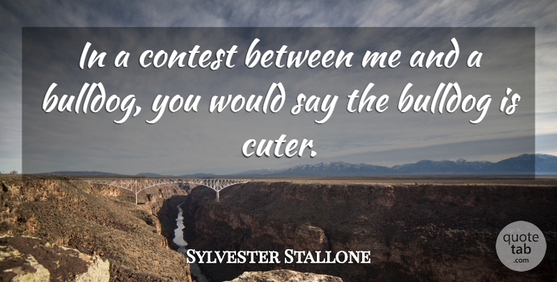 Sylvester Stallone Quote About Bulldogs, Contests: In A Contest Between Me...