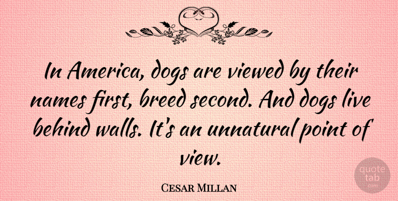 Cesar Millan Quote About Dog, Wall, Views: In America Dogs Are Viewed...