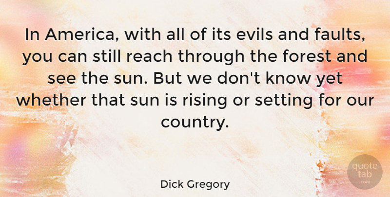 Dick Gregory Quote About Country, America, Evil: In America With All Of...