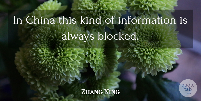 Zhang Ning Quote About China, Information: In China This Kind Of...