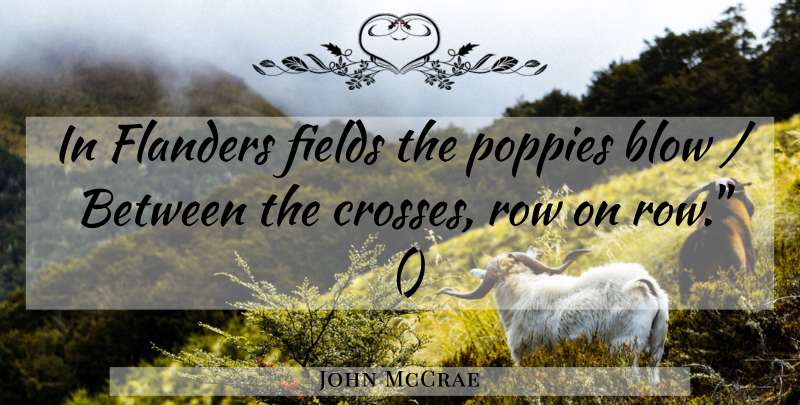 John McCrae Quote About Blow, Fields, Poppies, Row: In Flanders Fields The Poppies...