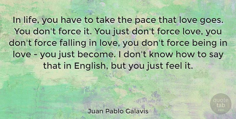 Juan Pablo Galavis Quote About Falling In Love, Love You, Being In Love: In Life You Have To...