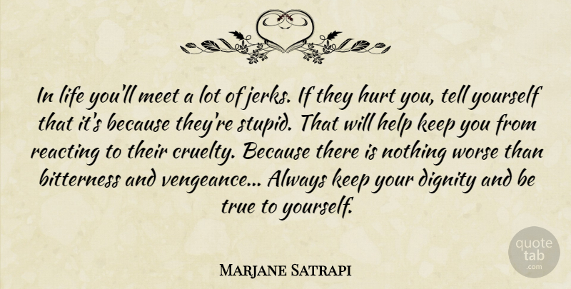 Marjane Satrapi Quote About Hurt, Stupid, Bitterness: In Life Youll Meet A...