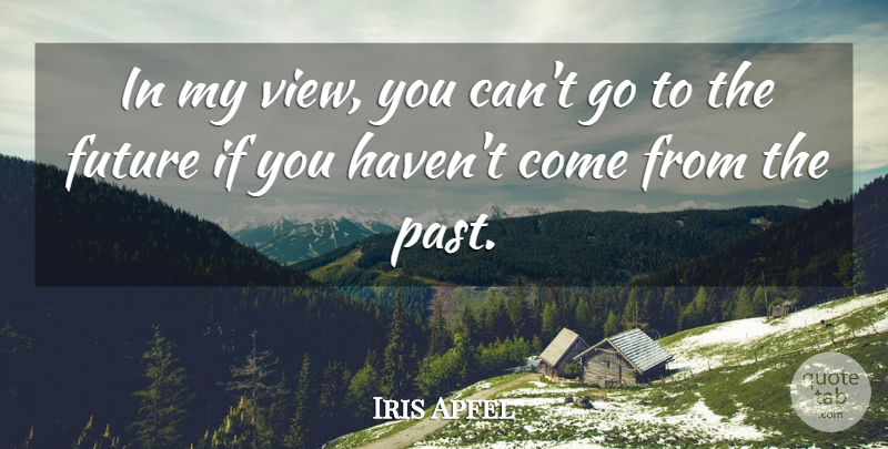 Iris Apfel Quote About Past, Views, Ifs: In My View You Cant...