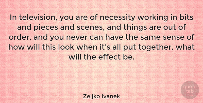 Zeljko Ivanek Quote About Bits, Effect, Necessity, Pieces: In Television You Are Of...