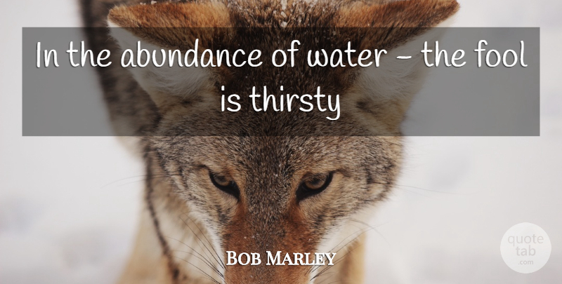 Bob Marley Quote About Jamaica, Water, Fool: In The Abundance Of Water...