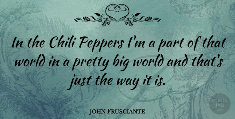 John Frusciante Quote About World, Way, Peppers: In The Chili Peppers Im...