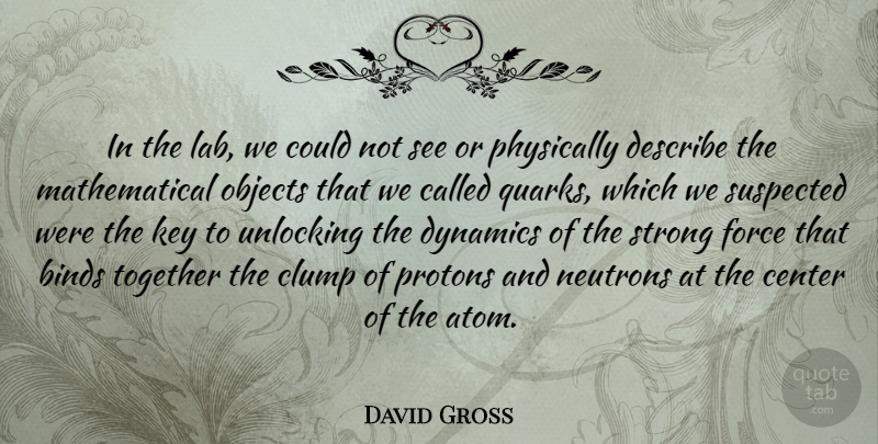 David Gross Quote About Binds, Center, Describe, Dynamics, Force: In The Lab We Could...
