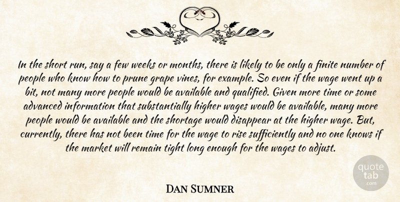 Dan Sumner Quote About Advanced, Available, Disappear, Few, Finite: In The Short Run Say...