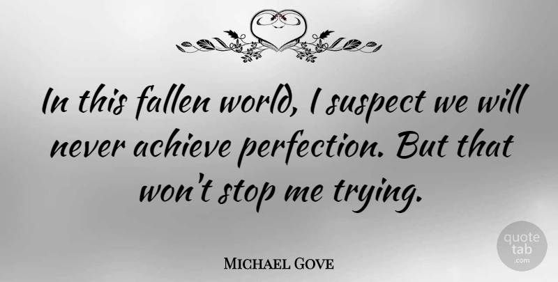 Michael Gove Quote About Perfection, Trying, World: In This Fallen World I...