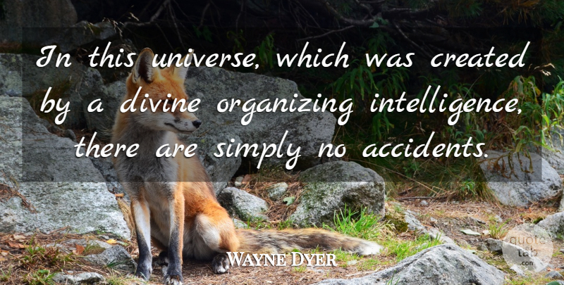 Wayne Dyer Quote About Divine, Accidents, Universe: In This Universe Which Was...