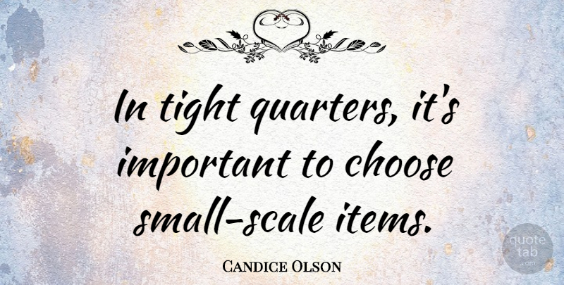 Candice Olson Quote About Tight: In Tight Quarters Its Important...