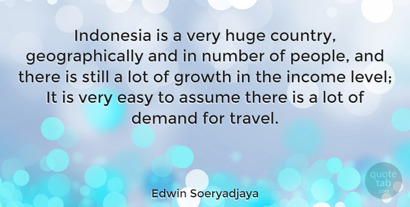 Edwin Soeryadjaya Quote About Assume, Demand, Huge, Income, Indonesia: Indonesia Is A Very Huge...
