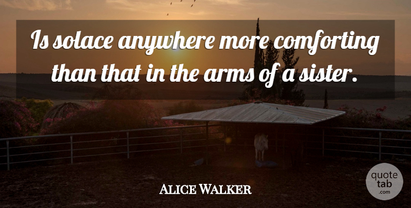 Alice Walker Quote About Inspiring, Sister, Sibling: Is Solace Anywhere More Comforting...