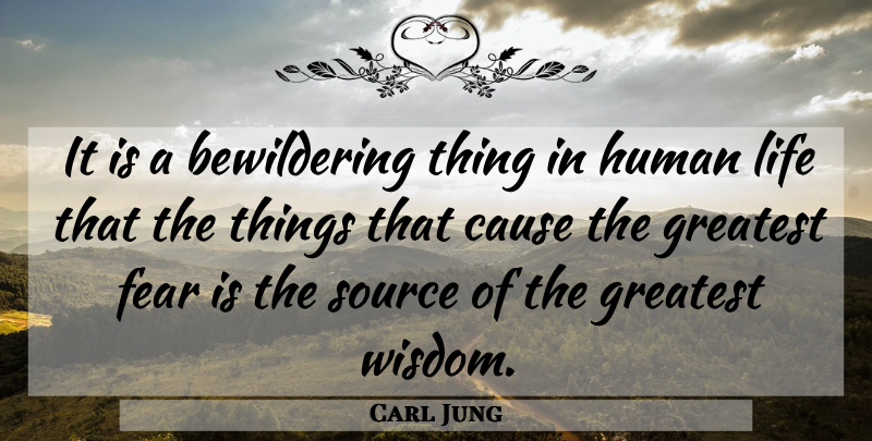 Carl Jung Quote About Military, Greatest Fear, Causes: It Is A Bewildering Thing...