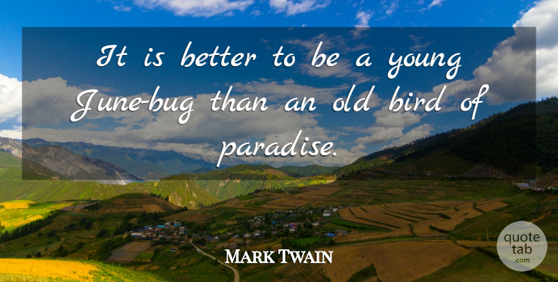 Mark Twain Quote About Time, June, Bird: It Is Better To Be...