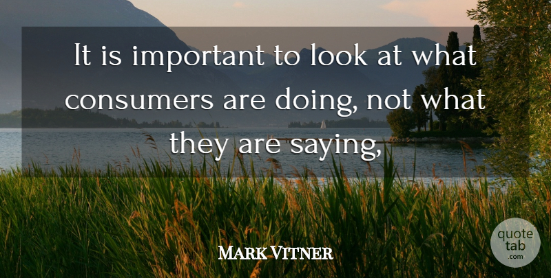 Mark Vitner Quote About Consumers: It Is Important To Look...