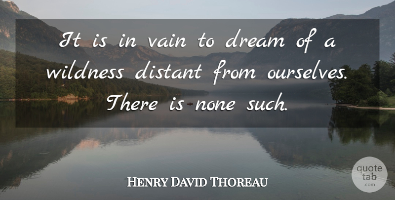Henry David Thoreau Quote About Dream, Bogs, Wilderness: It Is In Vain To...