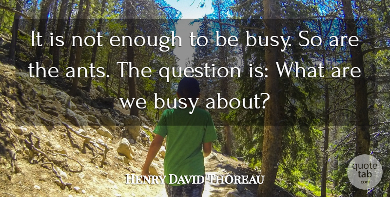 Henry David Thoreau Quote About Inspiring, Time, Fog: It Is Not Enough To...