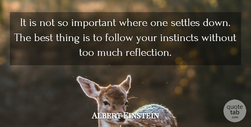 Albert Einstein Quote About Memorable, Reflection, Important: It Is Not So Important...