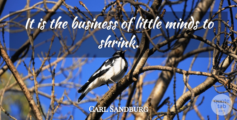 Carl Sandburg Quote About Strength, Being Strong, Perseverance: It Is The Business Of...