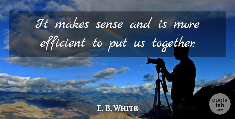 E. B. White Quote About Efficient: It Makes Sense And Is...