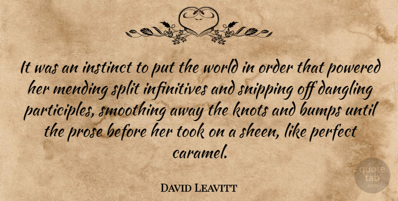 David Leavitt Quote About American Novelist, Bumps, Instinct, Knots, Mending: It Was An Instinct To...
