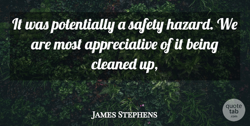 James Stephens Quote About Cleaned, Safety: It Was Potentially A Safety...