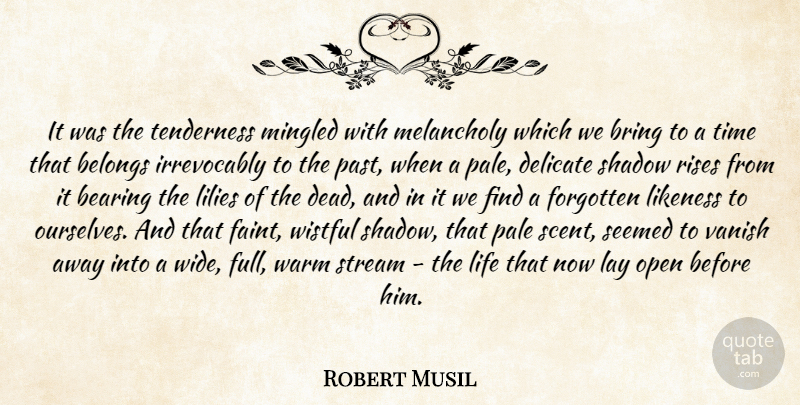 Robert Musil Quote About Past, Delicate Life, Shadow: It Was The Tenderness Mingled...