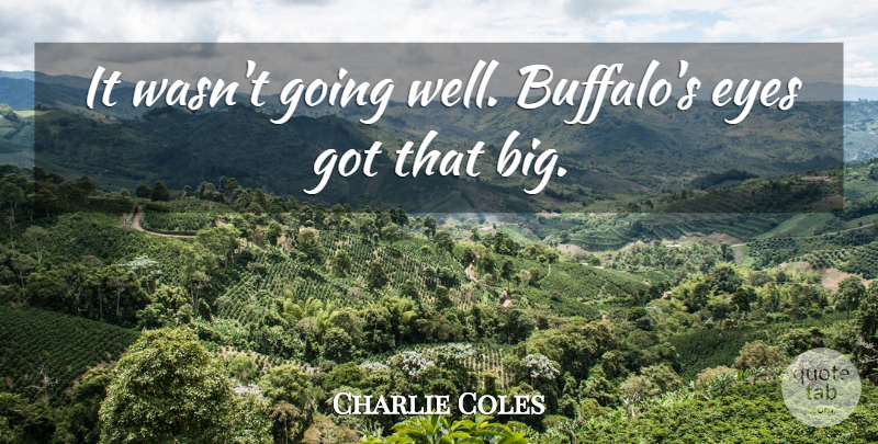 Charlie Coles Quote About Eyes: It Wasnt Going Well Buffalos...