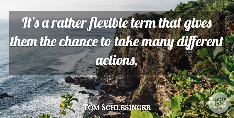 Tom Schlesinger Quote About Chance, Flexible, Gives, Rather, Term: Its A Rather Flexible Term...