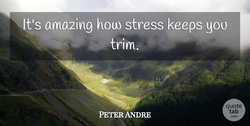 Peter Andre Quote About Stress, Stressed, Stressors: Its Amazing How Stress Keeps...