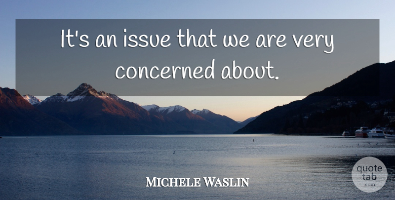 Michele Waslin Quote About Concerned, Issue: Its An Issue That We...