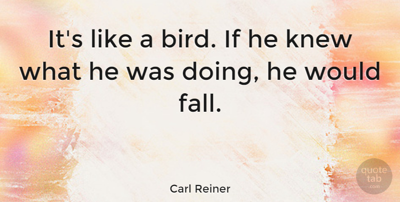 Carl Reiner Quote About undefined: Its Like A Bird If...