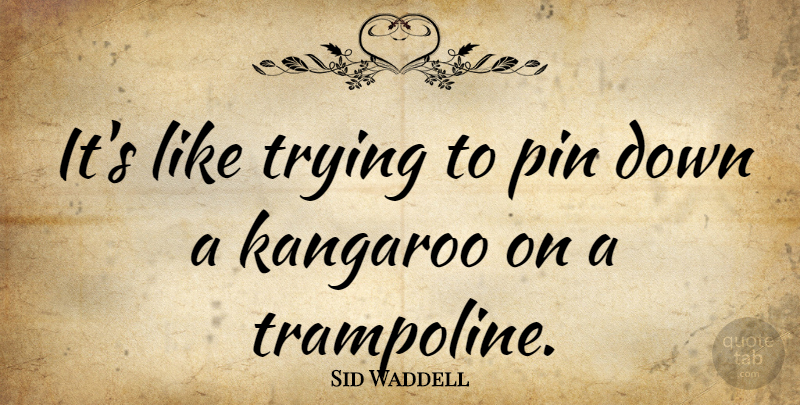Sid Waddell Quote About Trying, Kangaroos, Darts: Its Like Trying To Pin...