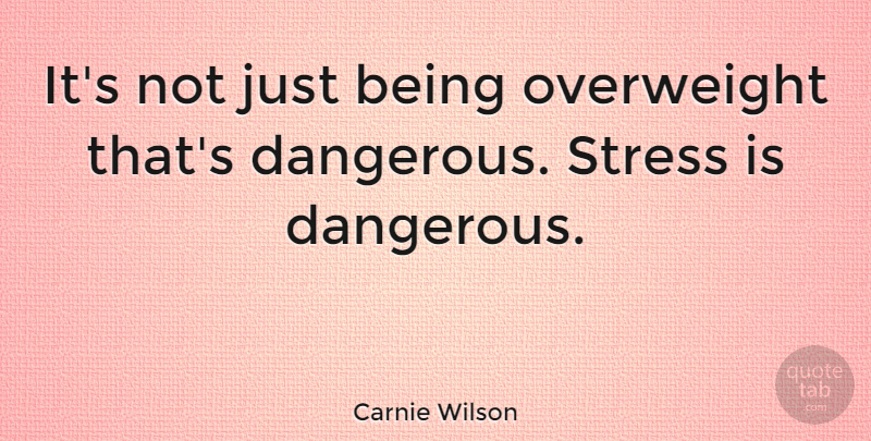 Carnie Wilson Quote About Stress, Just Being, Dangerous: Its Not Just Being Overweight...