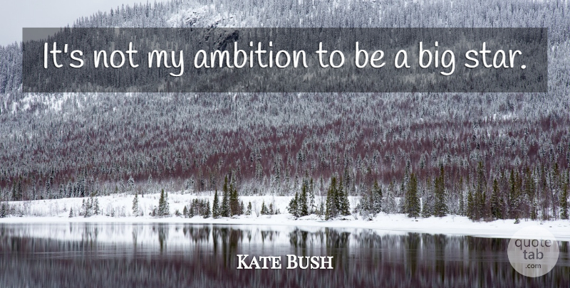 Kate Bush Quote About undefined: Its Not My Ambition To...