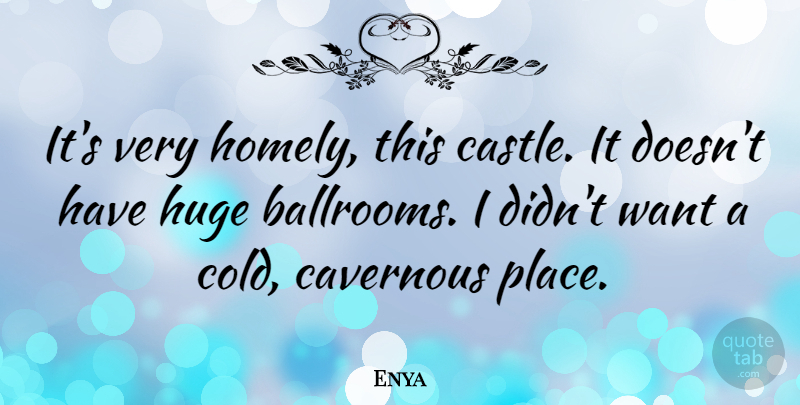 Enya Quote About Want, Castles, Cold: Its Very Homely This Castle...