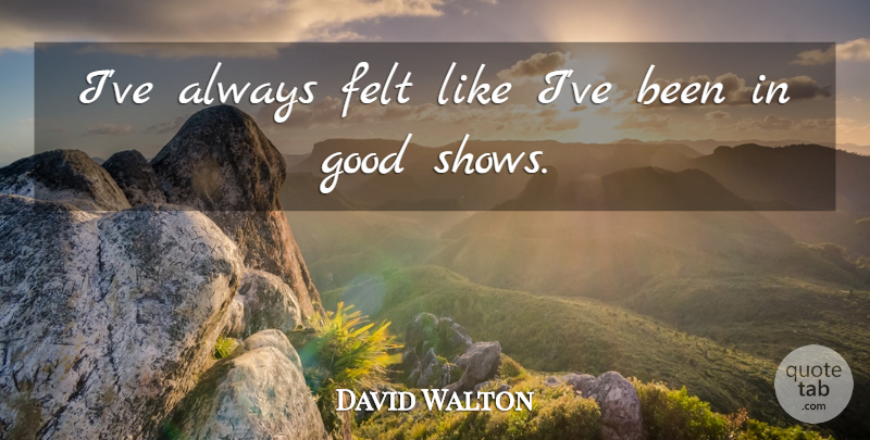 David Walton Quote About Good: Ive Always Felt Like Ive...