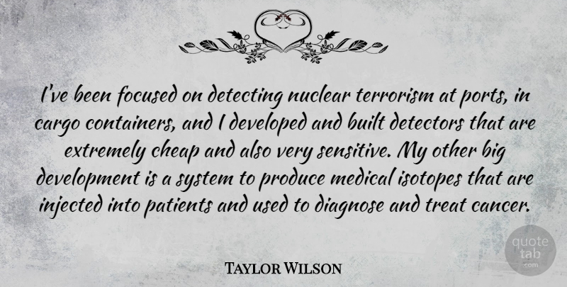 Taylor Wilson Quote About Built, Cheap, Developed, Extremely, Focused: Ive Been Focused On Detecting...
