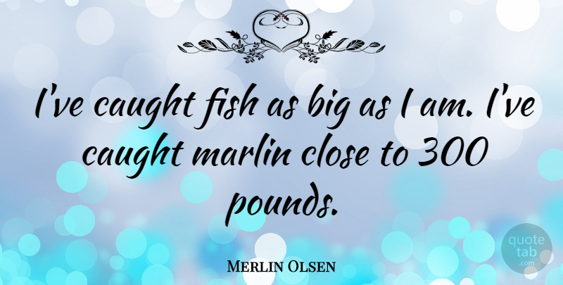 Merlin Olsen Quote About Pounds, Caught, Bigs: Ive Caught Fish As Big...