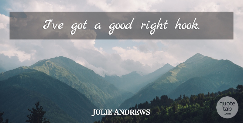 Julie Andrews Quote About Hook: Ive Got A Good Right...