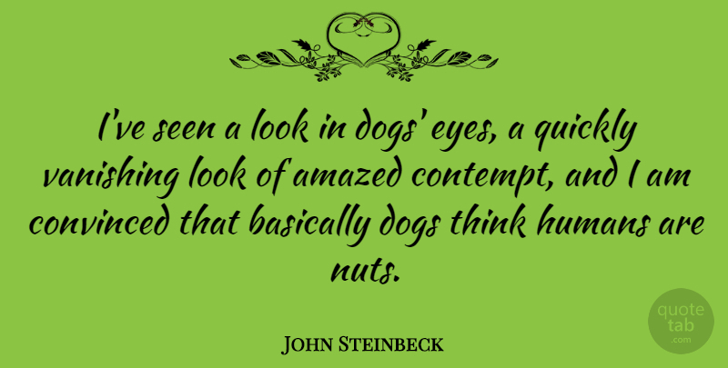 John Steinbeck Quote About Dog, Eye, Thinking: Ive Seen A Look In...