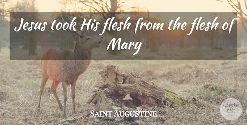 Saint Augustine Quote About Jesus, Flesh, Mary: Jesus Took His Flesh From...