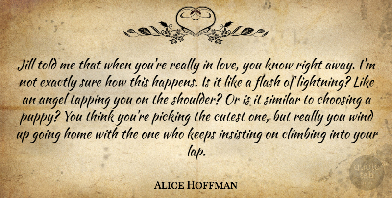 Alice Hoffman Quote About Love You, Angel, Home: Jill Told Me That When...