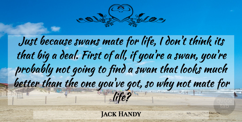 Jack Handy Quote About Looks, Mate, Swans: Just Because Swans Mate For...