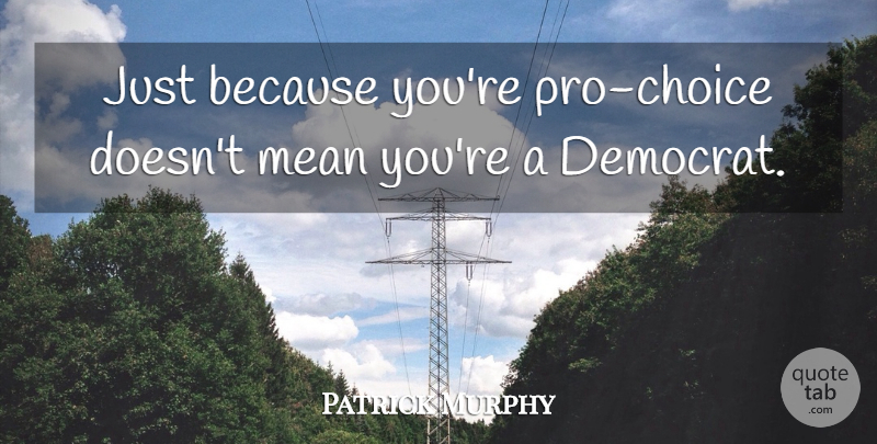 Patrick Murphy Quote About Mean: Just Because Youre Pro Choice...