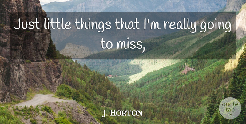 J. Horton Quote About undefined: Just Little Things That Im...
