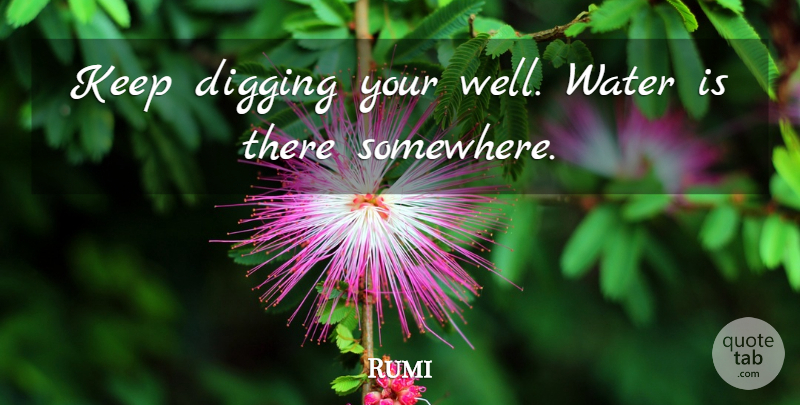 Rumi Quote About Water, Digging, Wells: Keep Digging Your Well Water...